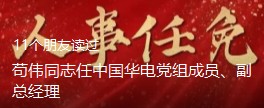 苟伟同志 任中国华电党组成员、副总经理